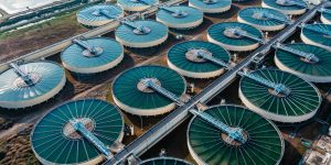 501-CRSG-cover-image-300x150